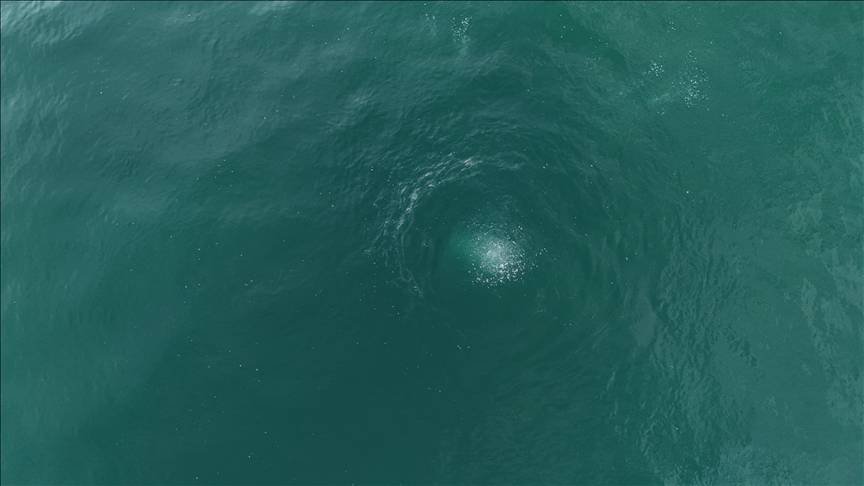 Sapanca Gölü’ndeki kabarcıklar panik yarattı: Depremin işareti mi? Uzmandan net açıklama 1